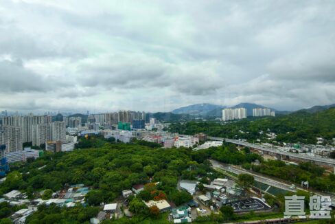 8165ef07-b721-472a-b38f-0ed25fe611c0-1.jpeg