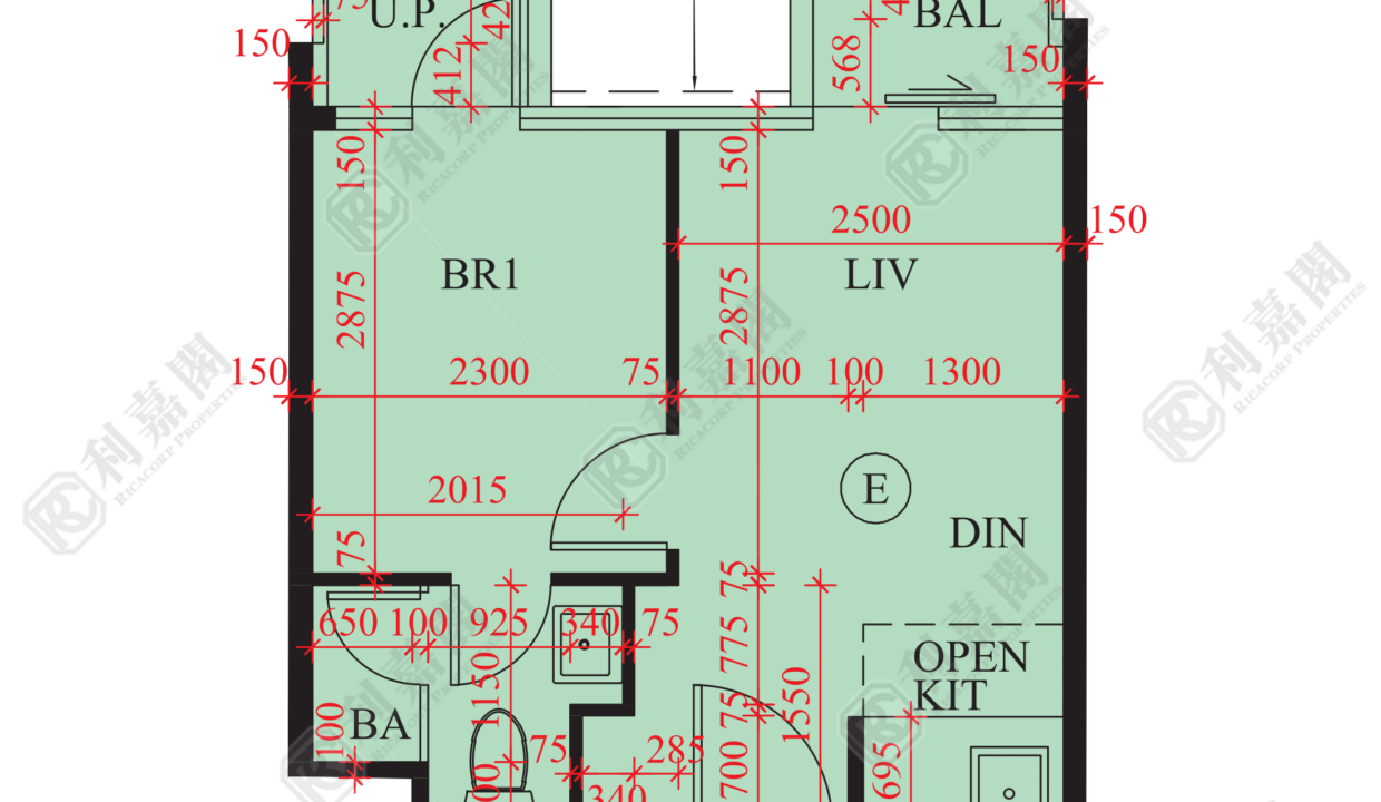 84062_2000_Ricacorp.png