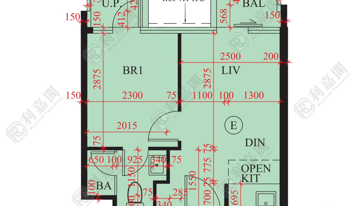 84072_2000_Ricacorp.png