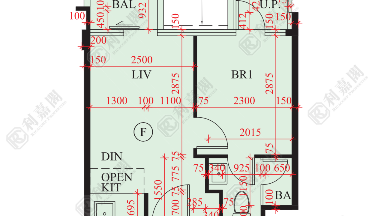 84078_2000_Ricacorp.png