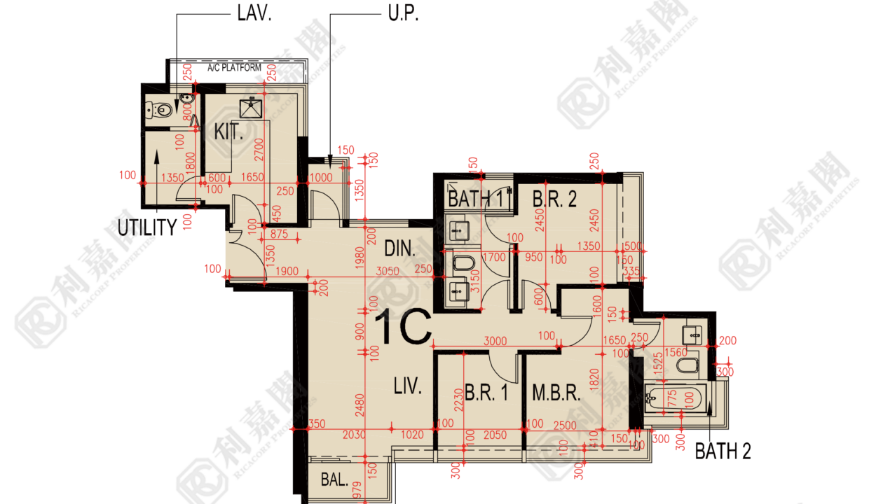 88651_2000_Ricacorp-1.png