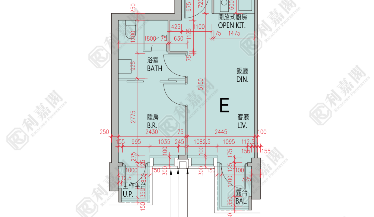 88890_2000_Ricacorp.png