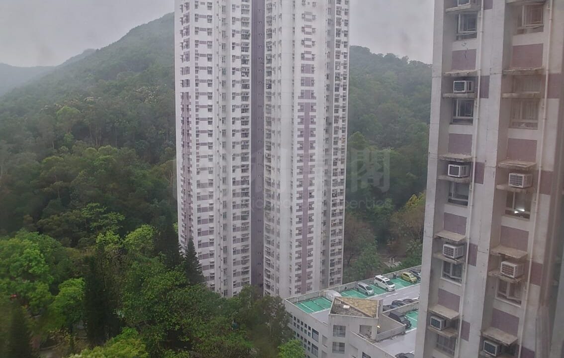 894e0065-a286-48a1-807c-057ea1d77dc8.jpeg