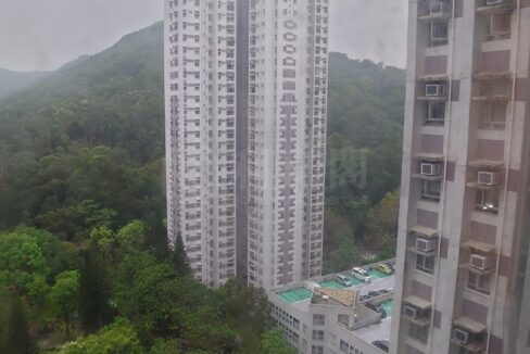 894e0065-a286-48a1-807c-057ea1d77dc8.jpeg