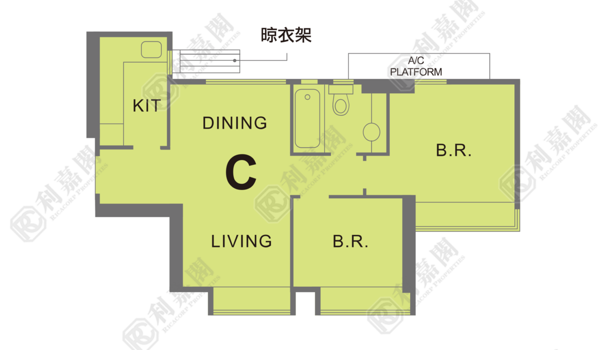 9581_2000_Ricacorp.png