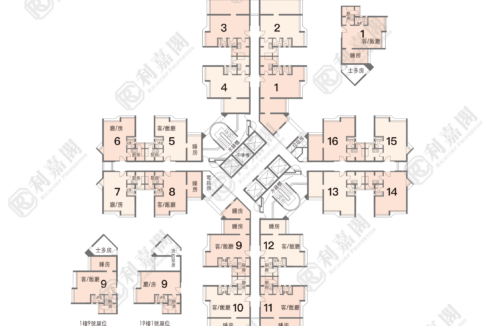 99906_2000_Ricacorp-1.png