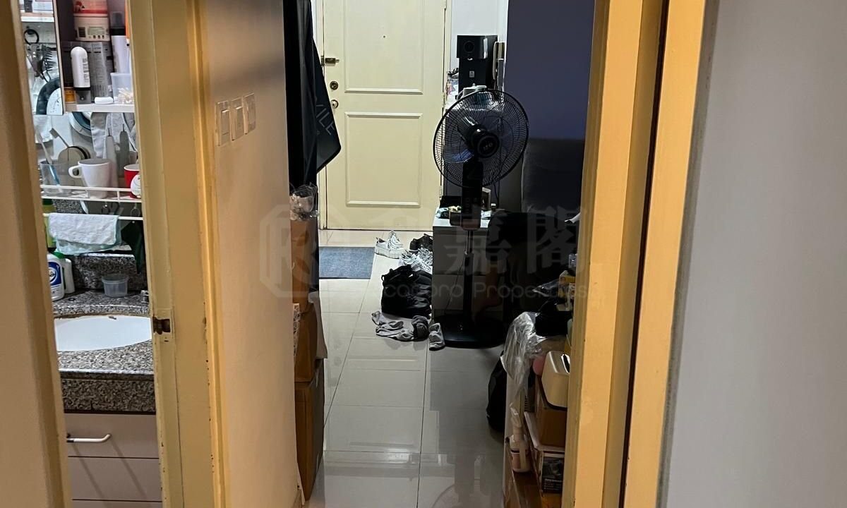 b76aae20-dc0c-4623-8272-55c002a03c60.jpeg