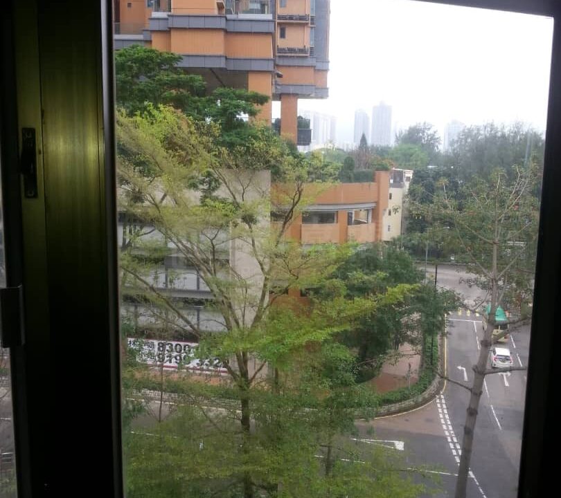 c3d11a0e-9065-4843-a7a7-902cee4a7a91-1.jpeg