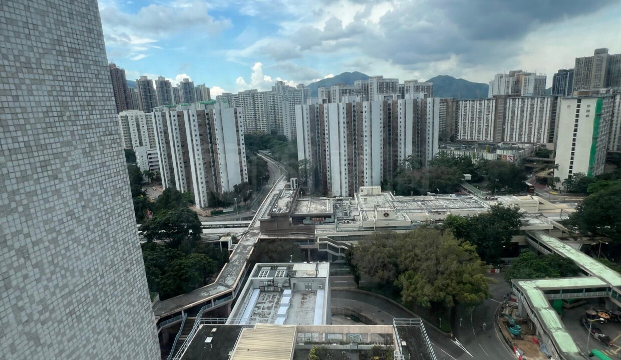 e0176007-15b0-495d-9e62-dda06d89dcd0.jpeg